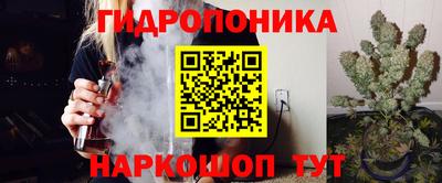 марки lsd Бийск