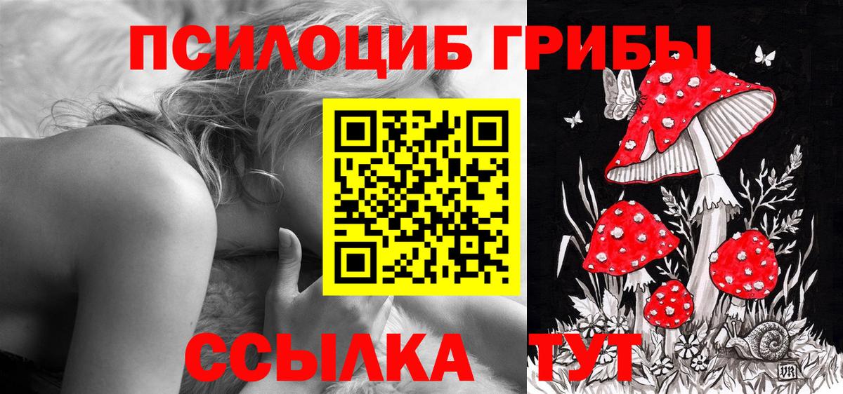 Псилоцибиновые грибы Psilocybe  Вход с VPN  Зерноград  Псилоцибиновые грибы Psilocybine cubensis 