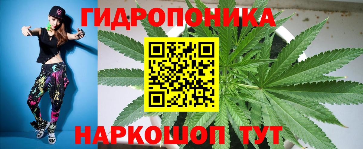 Каннабис конопля  Марихуана OG Kush  Вход с VPN  Зерноград  Шишки марихуана Amnesia 